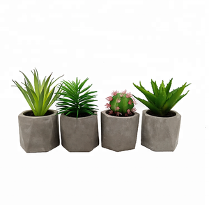 Decorazione per Casa e Giardino, <span class=keywords><strong>Piante</strong></span> Artificiali, <span class=keywords><strong>Cactus</strong></span> Artificiale, Aloe Artificiale <span class=keywords><strong>in</strong></span> <span class=keywords><strong>Vaso</strong></span> - Product Image 2