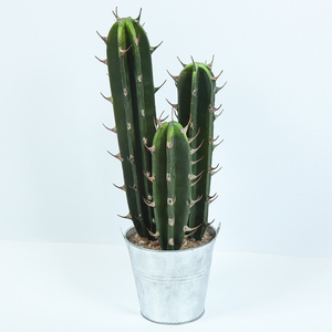 Plantas Artificiales <span class=keywords><strong>de</strong></span> <span class=keywords><strong>Cactus</strong></span> Mini, Decoración <span class=keywords><strong>de</strong></span> Escritorio Moderna Escandinava, Sin Agua, Poco <span class=keywords><strong>Luz</strong></span>, Hogar y Oficina - Product Image 3