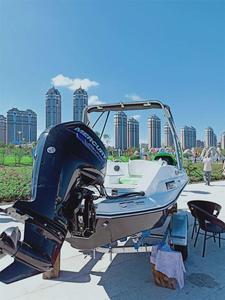 4.8 m scarabeo imbarcazioni sportive con il colore su misura e logo - Product Image 5