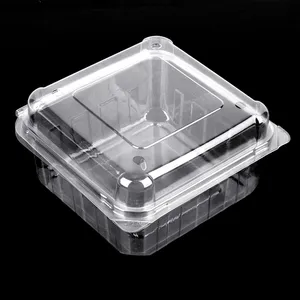 Fábrica Eco-Amigável Claro Descartável Plástico Fruta Clamshell Punnet Container/Box