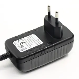 Free Sample Cheaper 12V 2A Power Adapter Car Battery Charger For Child Electric CarとETL CE FCC RoHS SAA C-tick Safety Mark