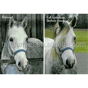Herdsman-Productos Ecuestres, postizos, caballo, postizos, extensiones forelock de 12-15 pulgadas - Product Image 5