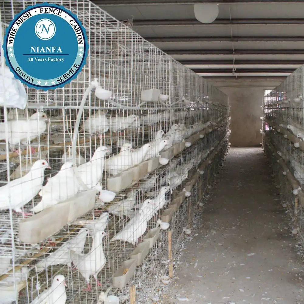 Nianfa ucuz güvercin kafesleri yiyecek kutusu ve su kutusu (Guangzhou fabrika)