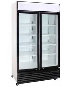 commercial 2 glass door display cooler with high quality for North America market