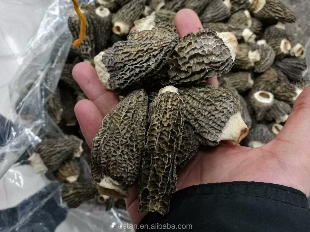 Detan Morilles Séchées Champignons Sauvages