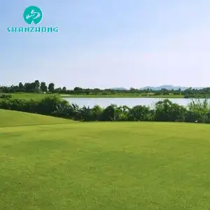 Cỏ tự nhiên màu xanh lá cây cỏ nhân tạo Golf đưa màu xanh lá cây Turf tổng hợp Golf cỏ