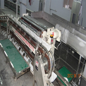 <span class=keywords><strong>100</strong></span> a 200 cerdos por configuración matadero horas - Equipamiento Masacre Europea - Product Image 1