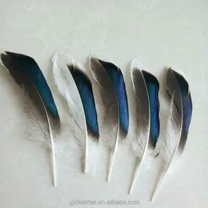 الصين المورد plumas الاصطناعي بطة الإوز ريشة