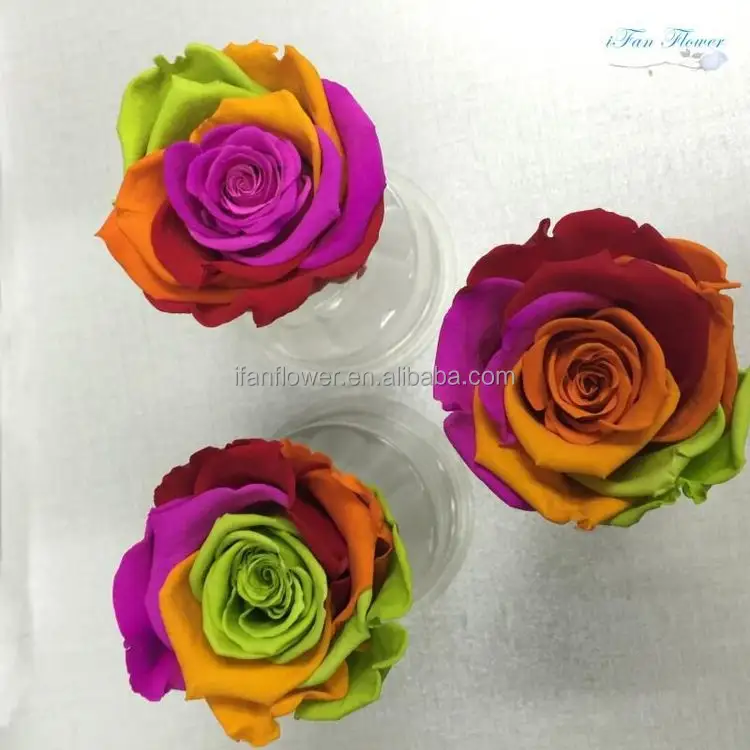 Gerbang Pernikahan Hari Jadi Kustom Yang Diawetkan, Produk Bunga Dekorasi Kerajinan Tangan Valentine Mawar