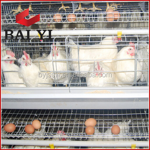 Comercio GARANTÍA DE <span class=keywords><strong>Gamefowl</strong></span> cúpula pluma jaula de pollo para la venta - Product Image 4