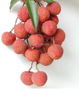 Groenten En Fruit Verse Lychee Litchi Niet Blik