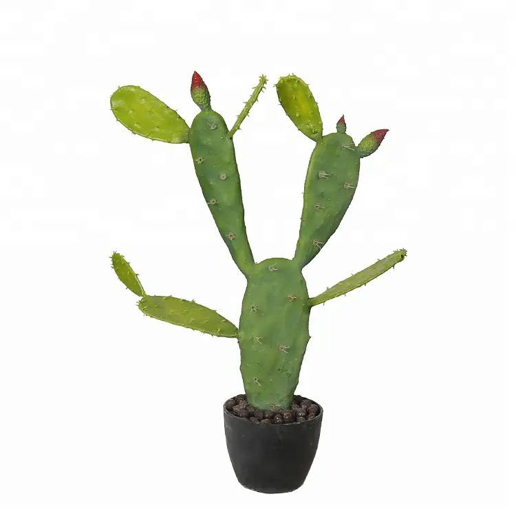 Plantes Cactus succulentes, produit décoratif d'intérieur, Style désert africain, prix de gros, 46cm