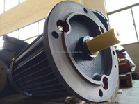 Motor Eléctrico de 60 kw de GUOMAO Factory Outlet