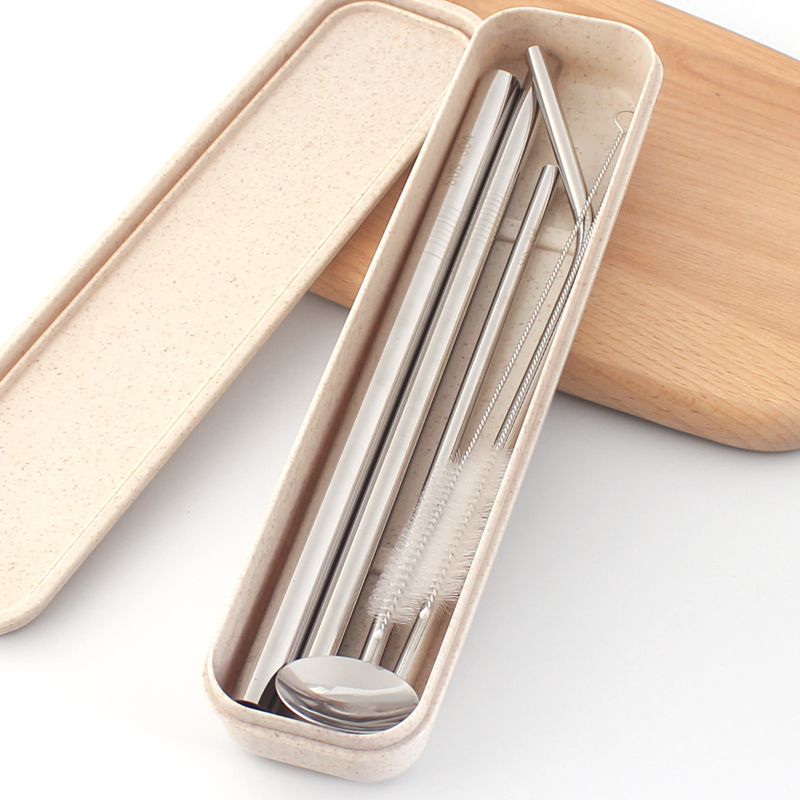 Reusable stainless steel straw set with case