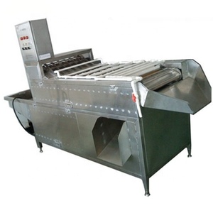 304 Paslanmaz Çelik Haşlanmış Sert Tavuk Yumurta Soyma Makinesi - Product Image 6