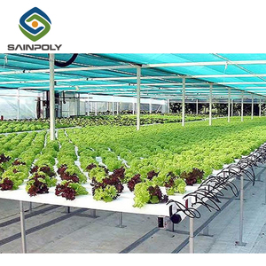 Invernadero multispan de plástico con película hidropónica, gestión automatizada, 200mic, 150mic, para Pimentón de tomate - Product Image 3