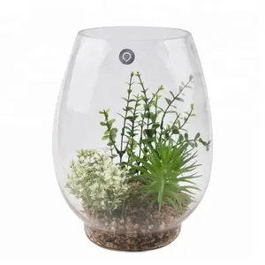 6 inch large decoration potted for plants glass modern plant pot