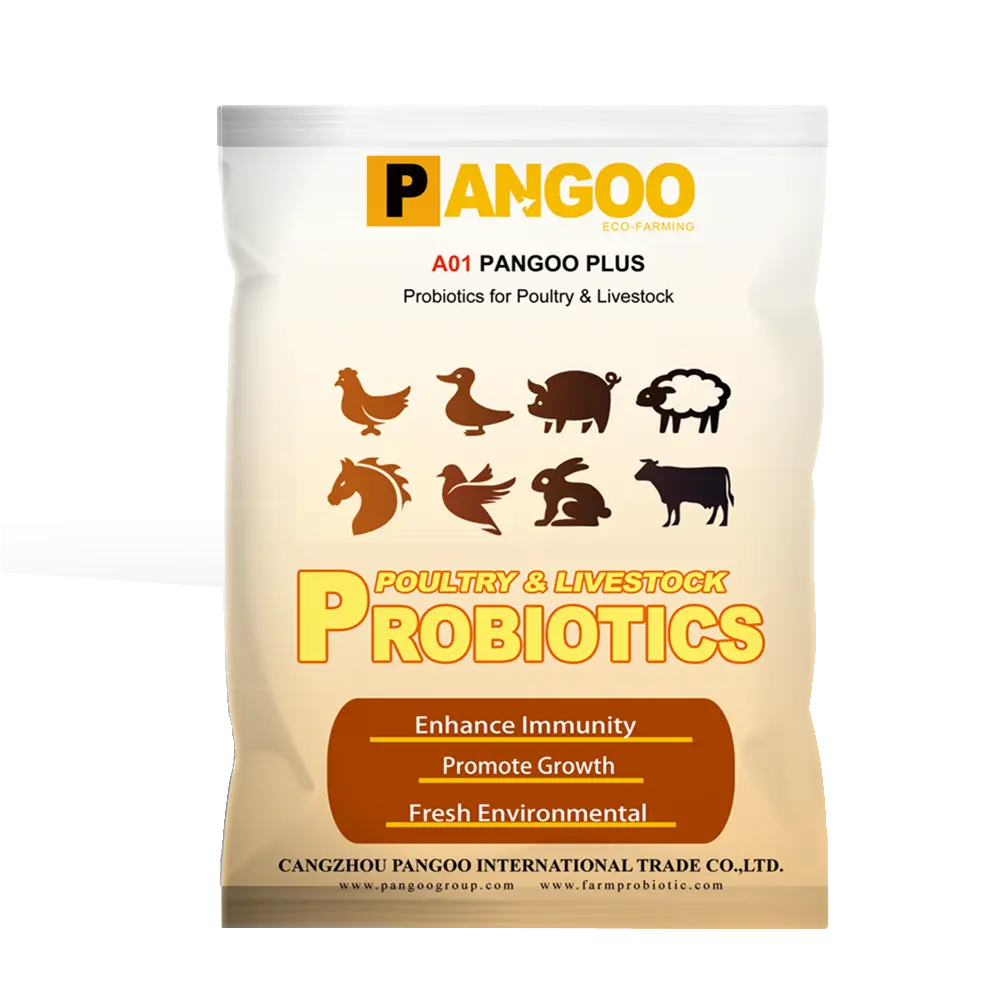 Pangoo probiotics for animals to promote growth