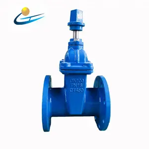 4 inch gate valve DN 100 Resilient Seated Cast Iron square nut operation gate valve underground water valve