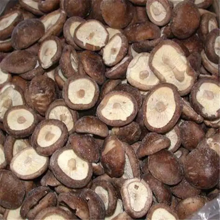 Export Top Grade IQF Frozen Shiitake Mushroom With Competitive Price