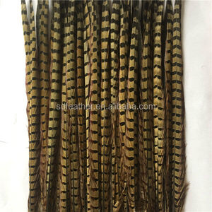 China proveedor barato plumas de <span class=keywords><strong>faisán</strong></span> del ringneck - Product Image 4