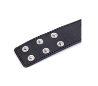 Collier en cuir BDSM, corde de traction, chaîne, laisse, anneau, chaîne en acier, jeu de rôle, esclave, bondage, collier