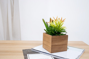 Nuevo diseño barato al por mayor de increíble artificial plantas <span class=keywords><strong>suculentas</strong></span> escritorio decoración del hogar para venta - Product Image 3