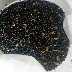 Qing Xiang <span class=keywords><strong>Zi</strong></span> Nouvelle Récolte de Semences de Celosie Naturelles Propres et Pures à Vendre - Product Image 4