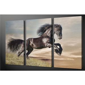Belle qualità di vendita pazzesco 3 pannello tela incorniciata di stampe di arte della parete - Product Image 1