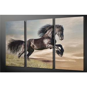 Fine quality crazy selling 3 panel canvas framed prints wall art