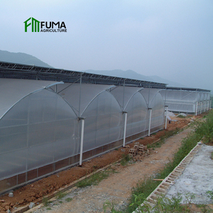 <span class=keywords><strong>Invernadero</strong></span> agrícola hidropónico comercial FM en venta - Product Image 6