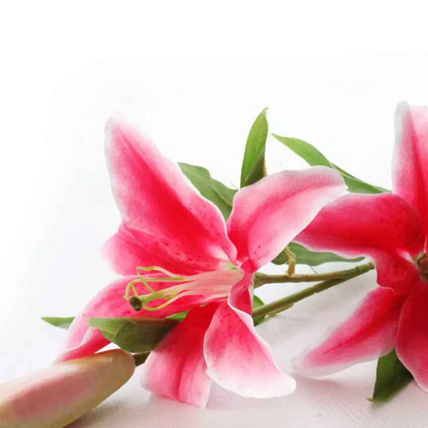 3หัวยาวสีชมพูsimgleเทียมก้านดอกลิลลี่สีฮาวาย