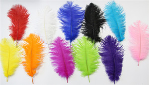 14 "-16" Al Por Mayor de la Tela Púrpura de Plumas de Avestruz Para la Decoración de Plumas de Avestruz Fan - Product Image 1