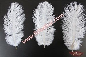 Petite plume d'autruche blanche pour décorations de mariage, artisanat multicolore, bricolage, bon marché, 15cm à 20cm, vente en gros, - Product Image 4