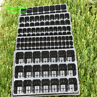 Plateau de Pépinière à 50 Alvéoles pour Semis de Tomates en Mini-Mottes, à Vendre