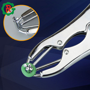 เครื่องมือตัดอัณฑะหมูผู้จัดจำหน่ายจากจีน Burdizzo คีมตัดอัณฑะ - Product Image 2