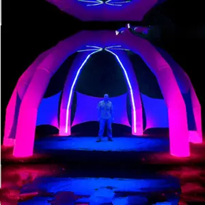屋外コンサートイベント用のLEDライトインフレータブルスパイダーテント付きの巨大なインフレータブル管状ドーム