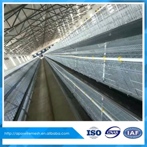 <span class=keywords><strong>Venta</strong></span> <span class=keywords><strong>de</strong></span> pollo <span class=keywords><strong>de</strong></span> cría en jaulas en batería en pakistán - Product Image 3