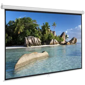 Matt White Electric Projector Screen for Sale Best Electric 120 Inch 16:9