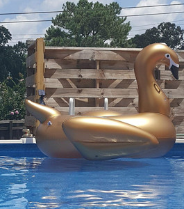 Mejor para vacaciones playa Piscina <span class=keywords><strong>de</strong></span> agua inflable gigante <span class=keywords><strong>de</strong></span> juguetes adultos Piscina <span class=keywords><strong>Flotador</strong></span> cisne <span class=keywords><strong>de</strong></span> oro fabricantes - Product Image 5
