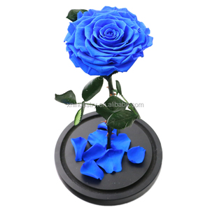 Valentine Forever Eternal Rose Flower Boda y Navidad Decoración del hogar con rosas preservadas Vidrio y tallo - Product Image 3
