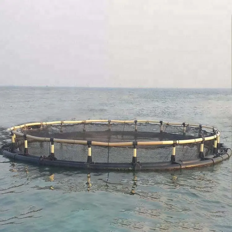 Cage de ferme hdpe de 30 à 160m, équipement d'extérieur pour poissons, perimètre, basse de mer