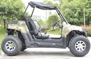 Bán Trực Tiếp Từ Nhà Máy 200/250/300cc CVT UTV Dune Buggy - Product Image 2