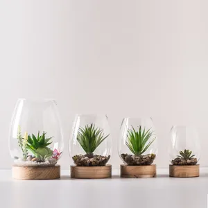 Ucuz yuvarlak temizle için ev dekor vazo teraryum mini mikro peyzaj ve sucul bitki