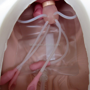 Mannequin d'entraînement complet pour examen gynécologique avec divers modèles de col de l'utérus et d'utérus - Product Image 6