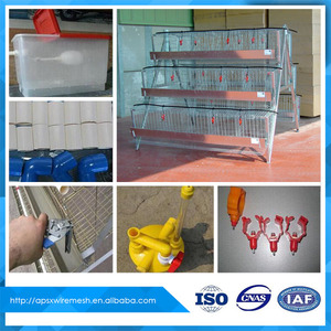 Argelia se venden bien batería de jaulas de pollo de aves de corral gallinas ponedoras - Product Image 6