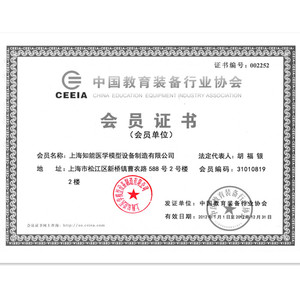 Mô hình 3D của cơ thể con người giải phẫu gan trong kho khoa học y tế có sẵn - Product Image 6