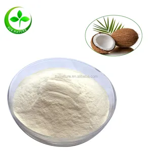 Top Sell Organic Desicated Coconut juice Powder In Stock