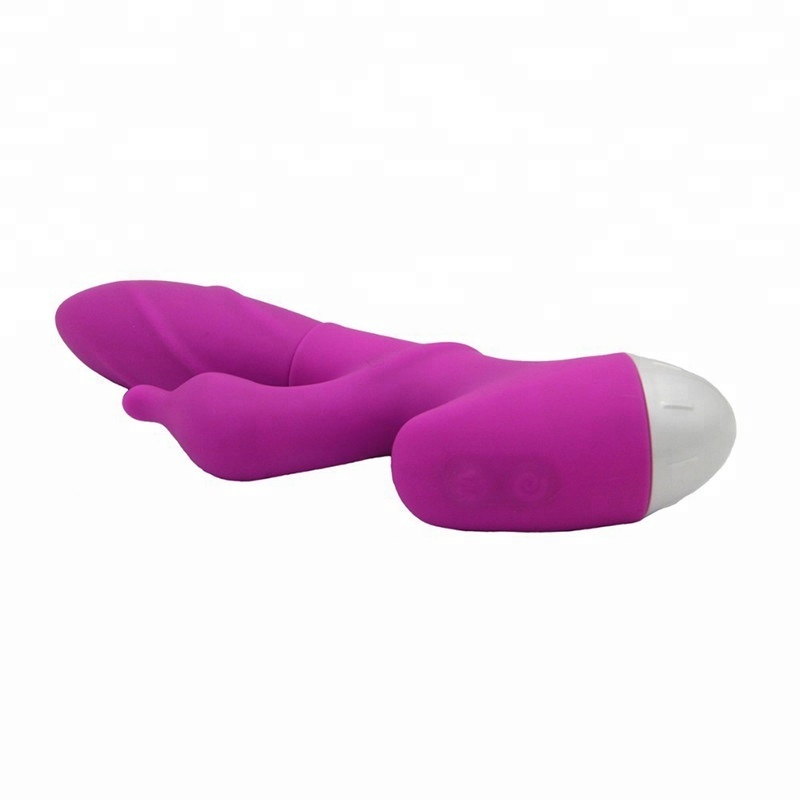 360 Degrés Rotation Gode Vibrator10 Vitesses Calme Dauphin Masseur Stimuler G Spot Marsturbator