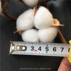 10 tiges de bourgeons de coton blanc naturel de 21 pouces, fleurs séchées conservées, pour Noël, mariages, Halloween, remises de diplômes, disponibles gratuitement - Product Image 4